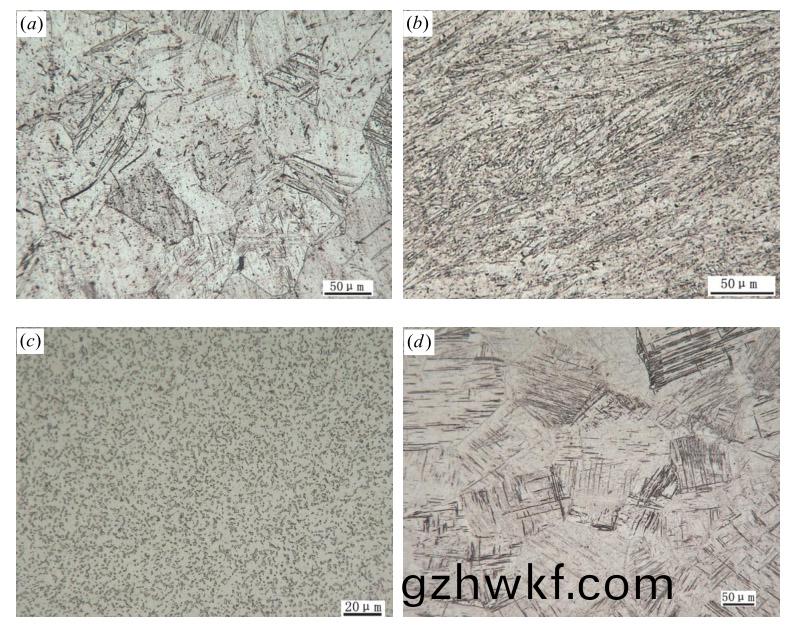 纯(chun)钛(tai)及(ji) TC4 钛(tai)丝(si)拔制前(qian)后组织(zhi) 纯(chun)钛(tai)及(ji) TC4 钛丝(si)拔制前(qian)后组(zu)织(zhi)