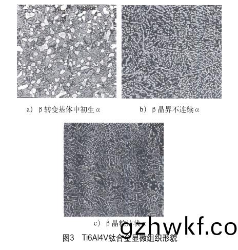 Ti6Al4V钛合(he)金显(xian)微(wei)组织(zhi)形貌
