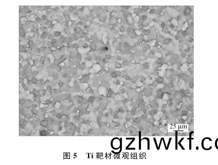 1649931386727394.jpg a5.jpg