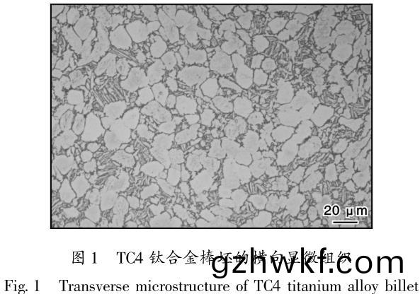 1686564207677187.jpg t1.jpg