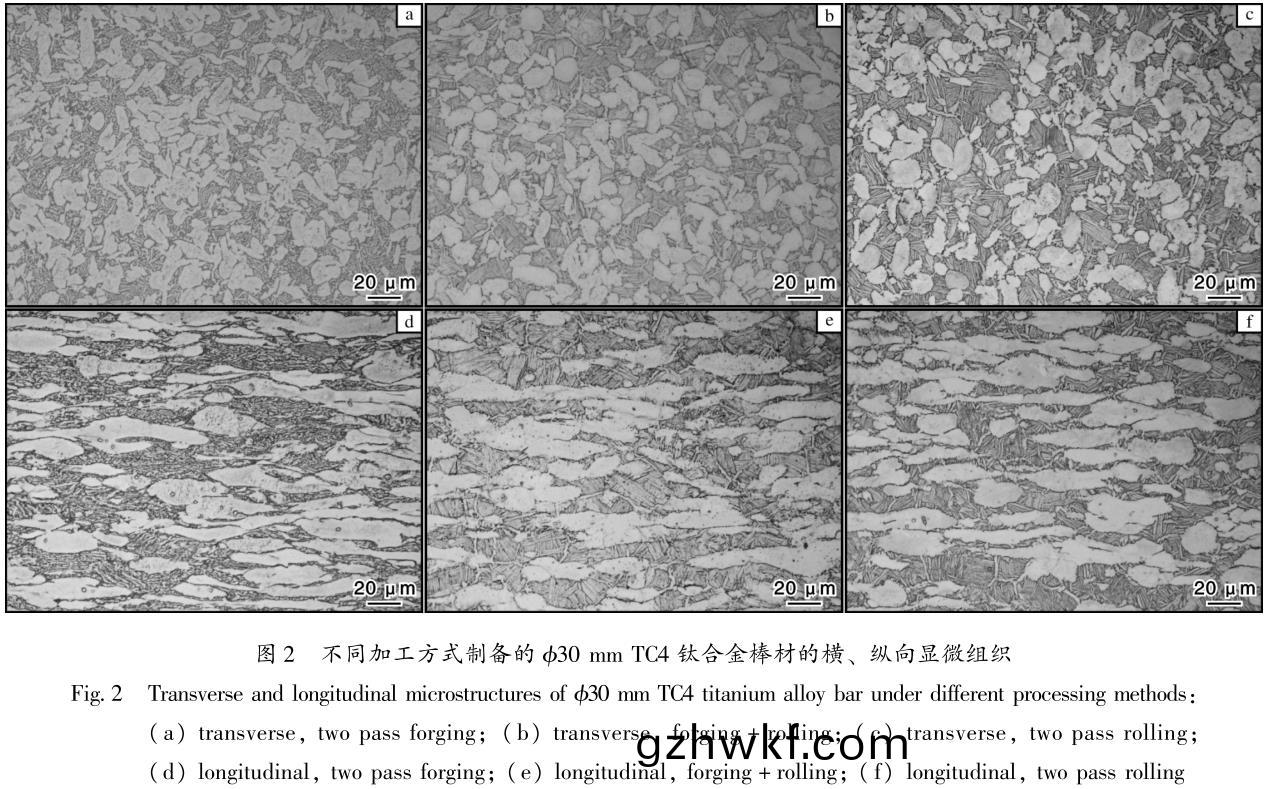 1686564236416318.jpg t2.jpg