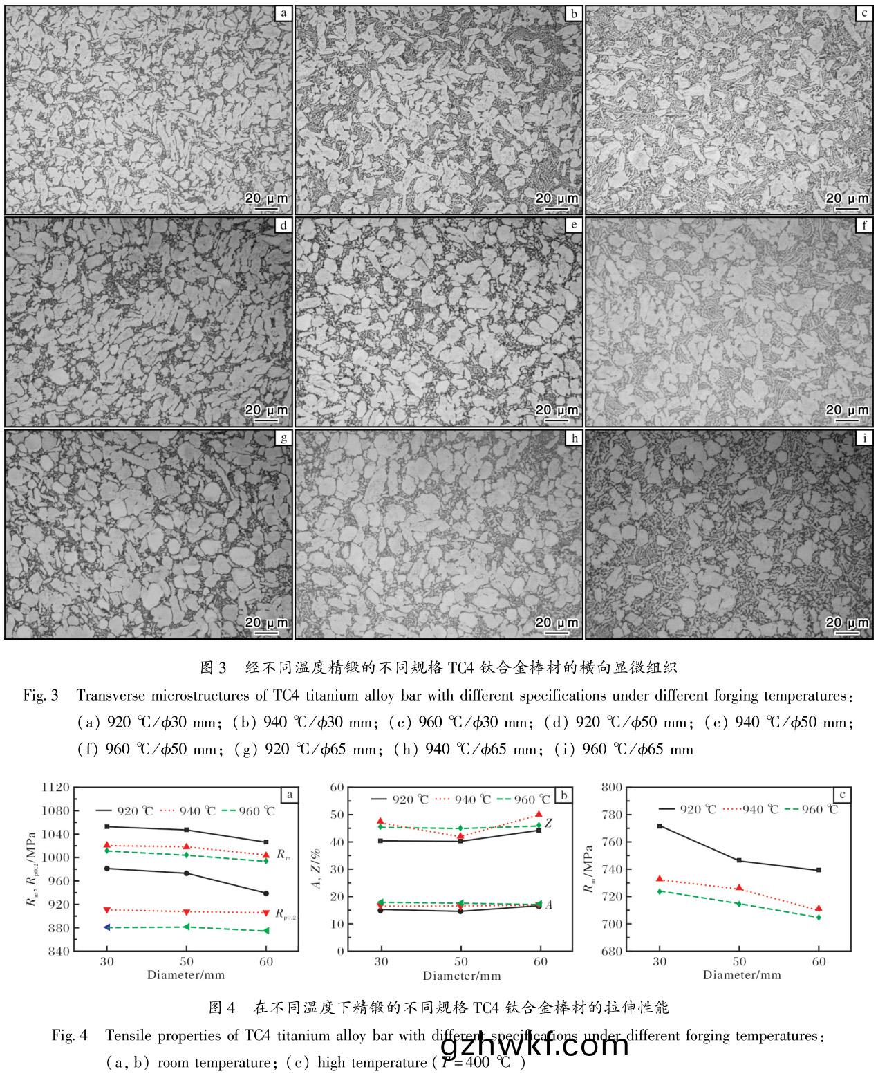 1686564265763362.jpg t3-4.jpg