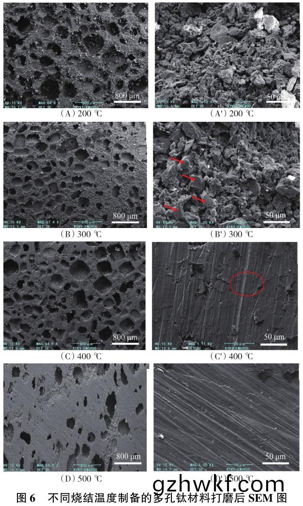 1706104815257661.jpg t6.jpg