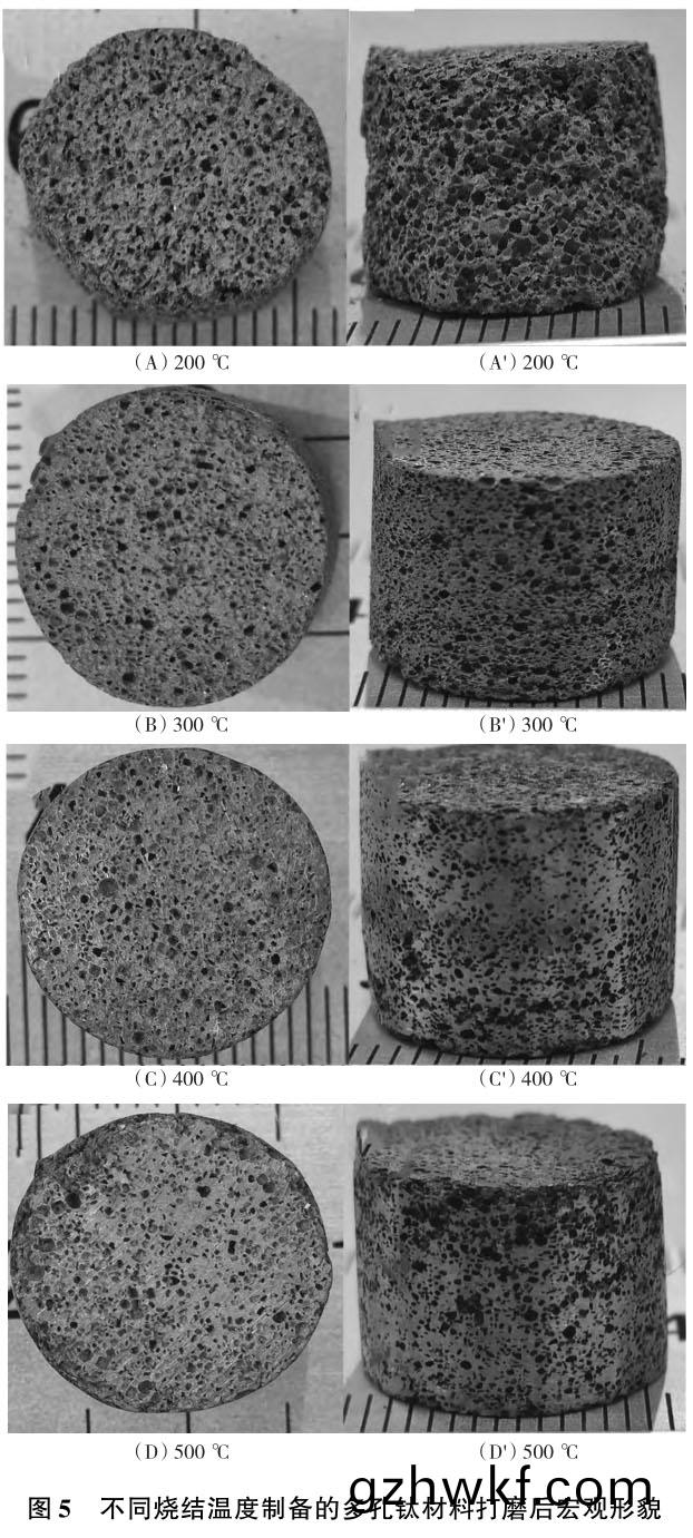 1706104801687877.jpg t5.jpg