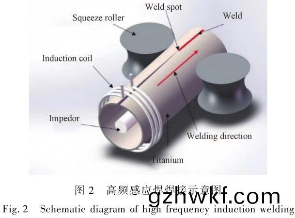 1706182165728128.jpg t2.jpg