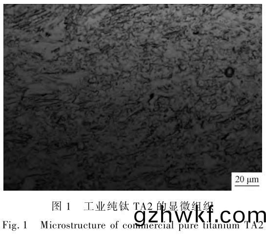 1706182149285326.jpg t1.jpg