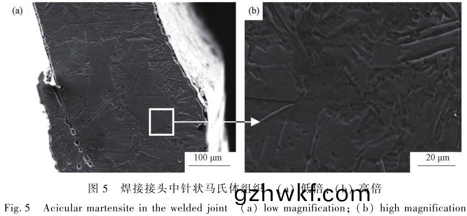 1706182222445233.jpg t5.jpg