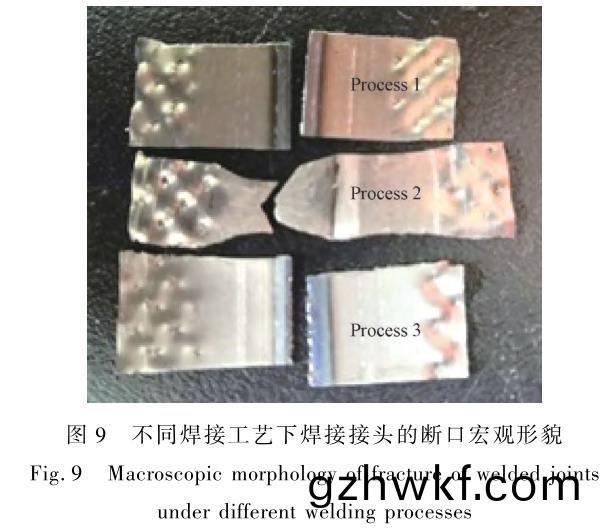 1706182278117436.jpg t9.jpg