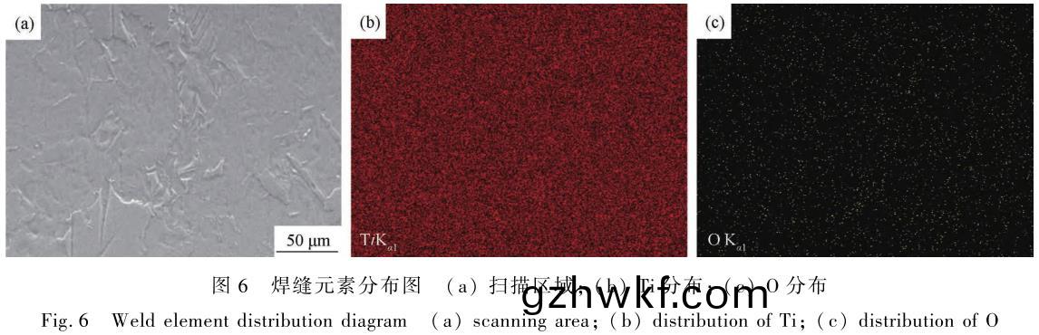 1706182231311271.jpg t6.jpg