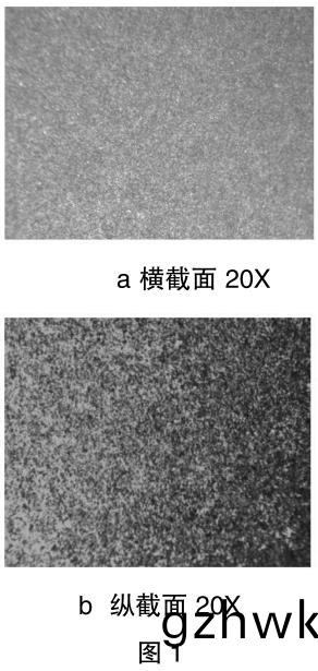 1700480832603389.jpg t1.jpg