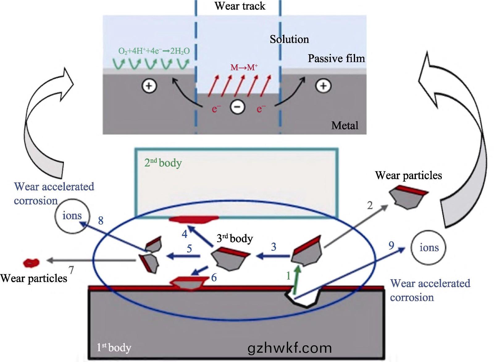 1709435599452388.jpg 2.jpg