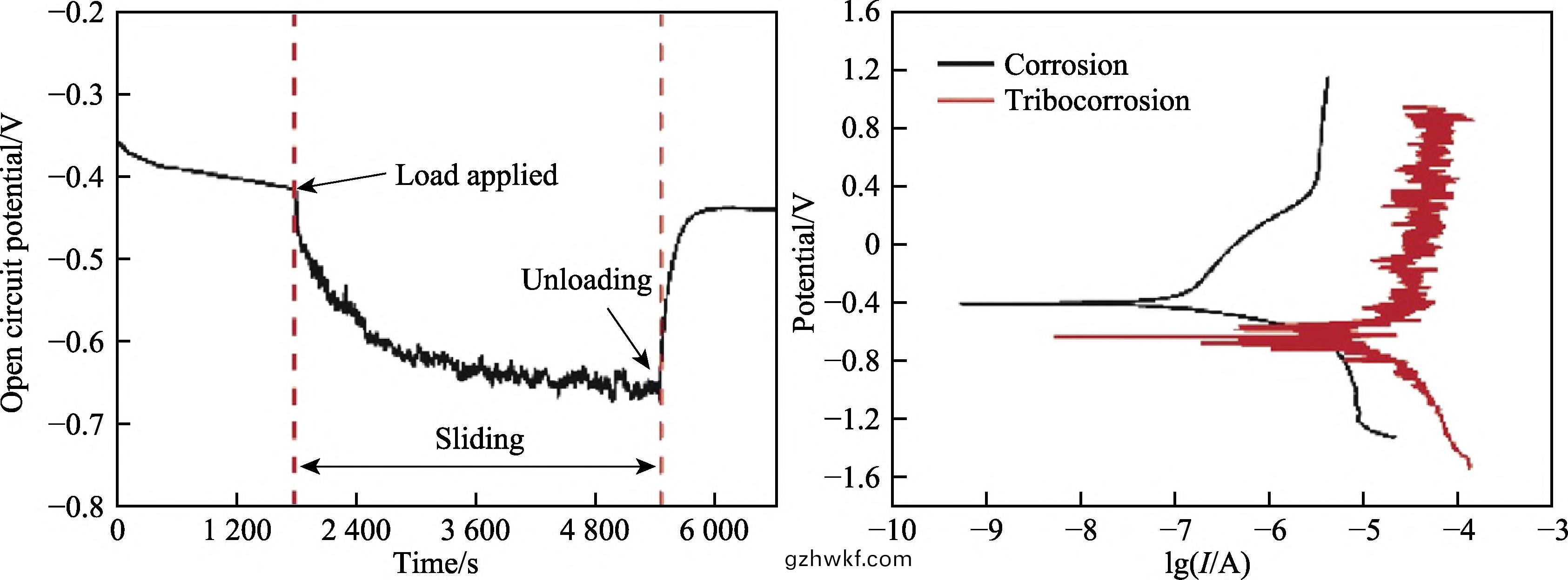 1709435617770797.jpg 3.jpg