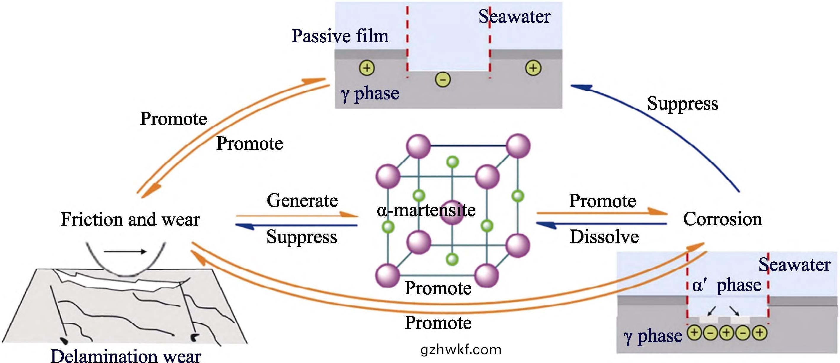 1709435651121823.jpg 4.jpg