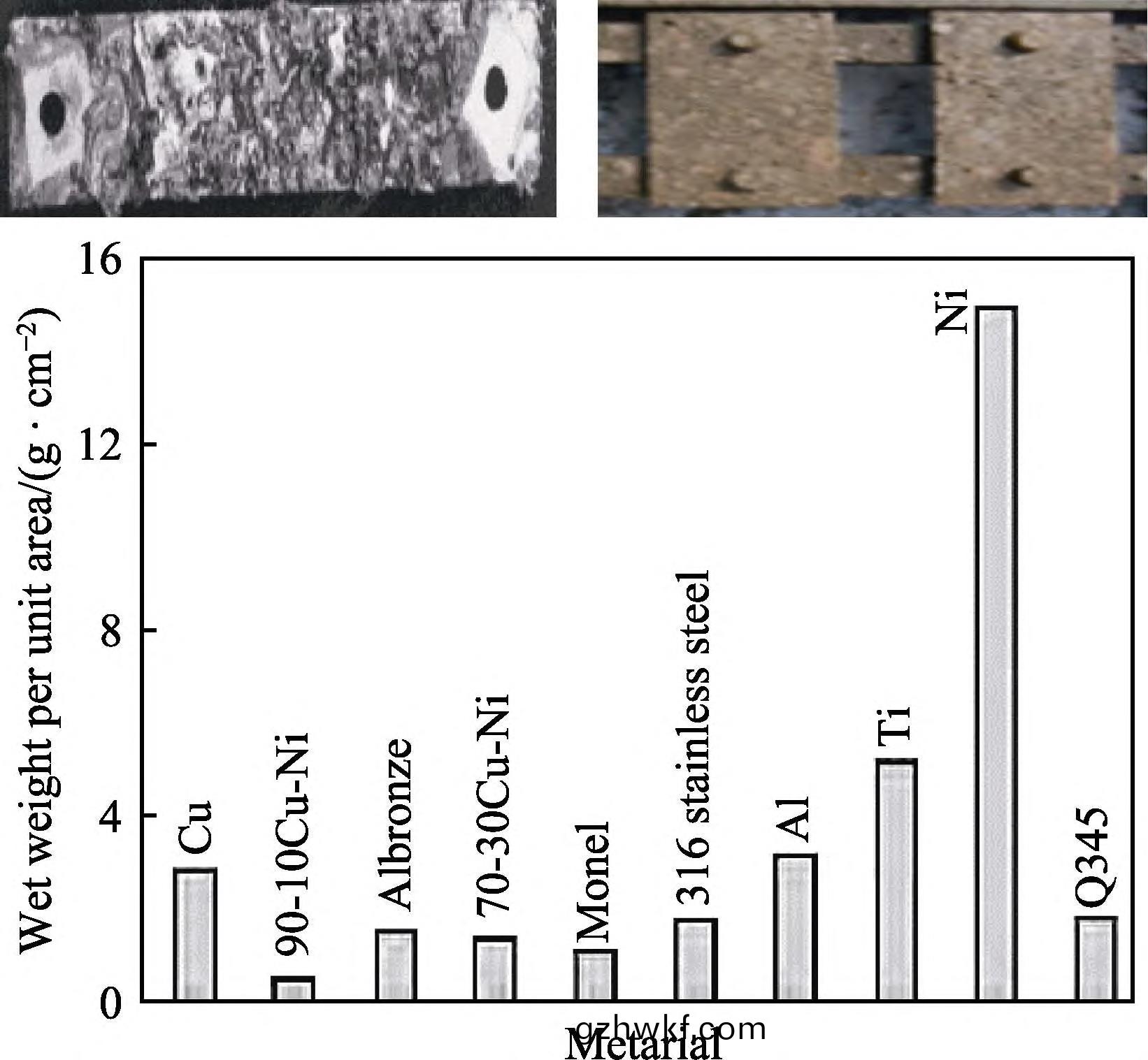 1709435705257458.jpg 6.jpg