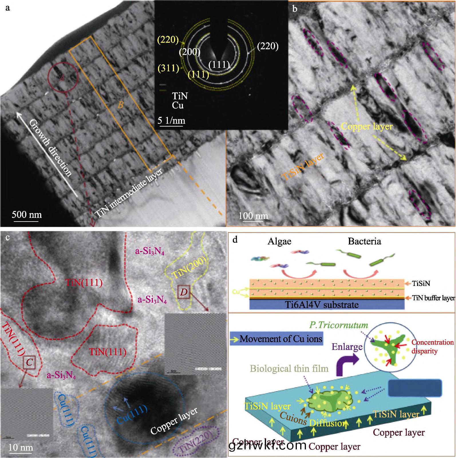 1709435773459494.jpg 7.jpg