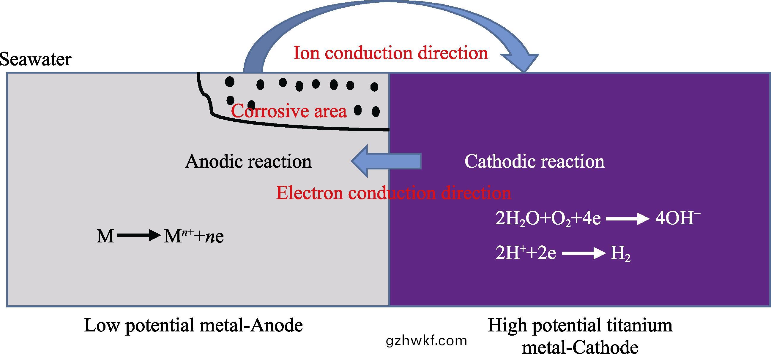 1709435817878264.jpg 8.jpg