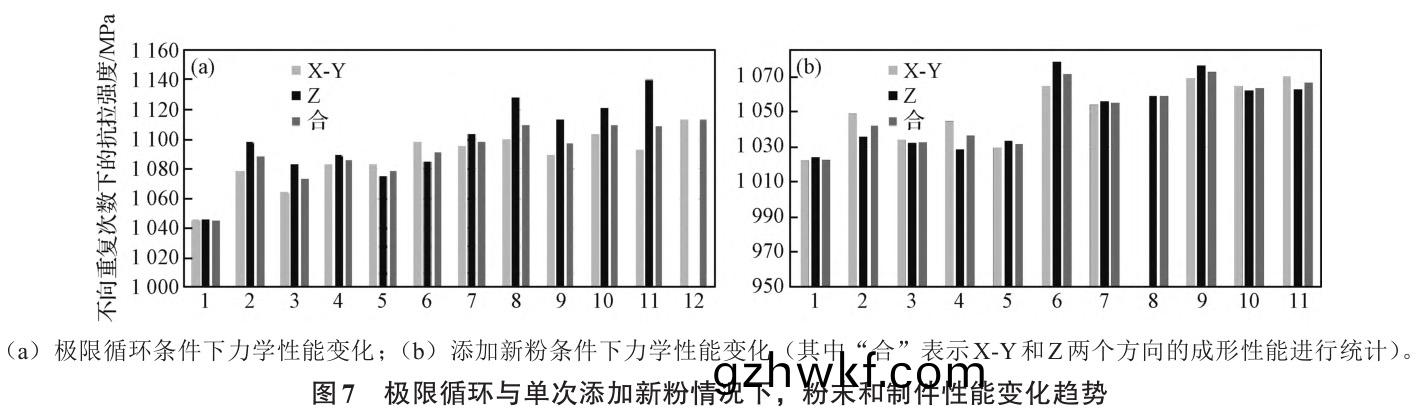 1735024758310898.jpg 7.jpg